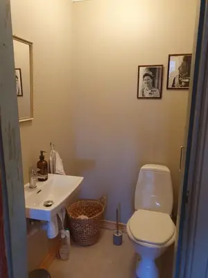 a bathroom with a white toilet and a sink at Fagerstrand, storhytte ved Bygdin i Jotunheimen in Beitostøl