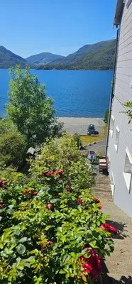 a bunch of flowers next to a building and a body of water at Sveciu namai in Sandeid