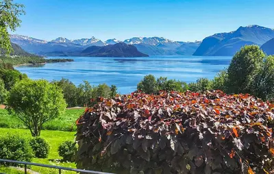 a large pile of flowers on a hill next to a lake at 2 Bedroom Cozy Home In Skodje in Skodje