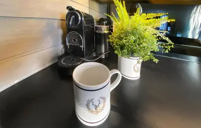 a coffee cup and two plants on a counter at Amazing Apartment In Noresund With Wifi in Noresund