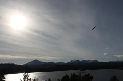 a bird flying in the sky over a lake at Åkviktunet hytte Sør in Averoy