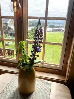 a vase with purple flowers sitting on a window sill at Åkviktunet hytte Sør in Averoy