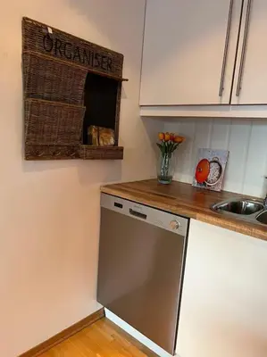a kitchen with a dishwasher next to a sink at Leilighet i Uvdal med nydelig utsikt in Sønstebø