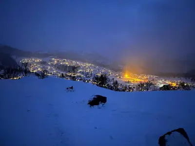 two cows in the snow with a city in the background at Flott moderne hytte i Holterdalen, 4 soverom, 2 bad, Jacuzzi, garasje in Rauland