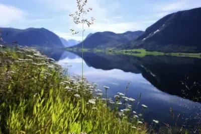 a view of a body of water with mountains at Jølster Lake View in Årdal