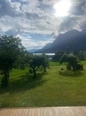 a field with trees and a view of a mountain at Skogly - det gode livet på landet in Stryn