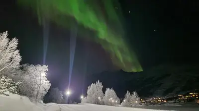 an image of the aurora in the sky at night at Ladebua in Brunstad
