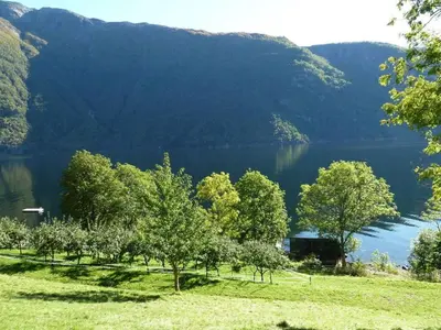 a view of a lake with trees and a house at 