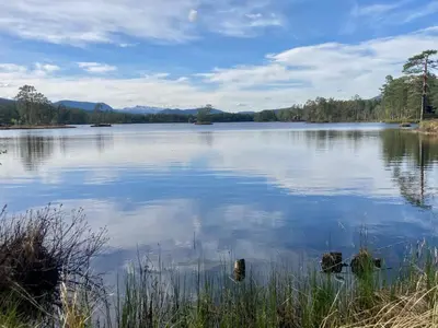 a large body of water with trees in the background at Friheten! in Notodden