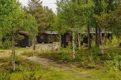 a group of buildings in a forest with trees at Rondane Friluftssenter Rondetunet in Brenn