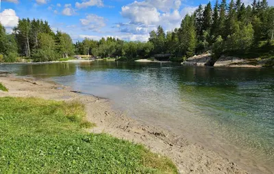 a body of water with a beach and trees at Awesome Apartment In Hemsedal With Wifi in Hemsedal