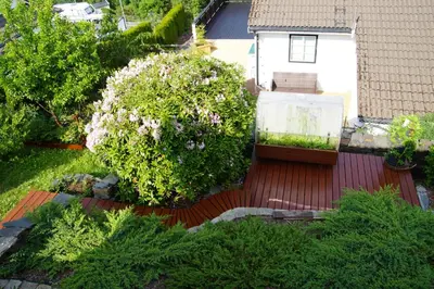 an overhead view of a garden with a large bush at Cozy room in a house with a garden on the island of Askøy, near Bergen in Askøy