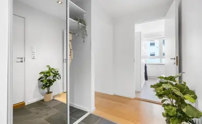 a hallway with white walls and potted plants at Nydelig leilighet på Nordnes! in Bergen