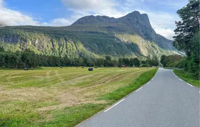 a road leading into a field with a mountain at Gorgeous Apartment In Eresfjord in Nauste