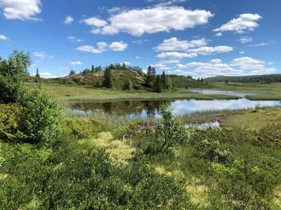 a lake in the middle of a field with trees at Golsfjellet - new modern cabin with fantastic view in Golsfjellet