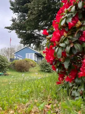 a blue house in a field with red flowers at Holiday Home Sletta in Sletta