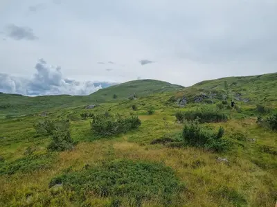 a grassy field with hills in the background at Hytte med fjellutsikt til nydelig natur in Sogndal