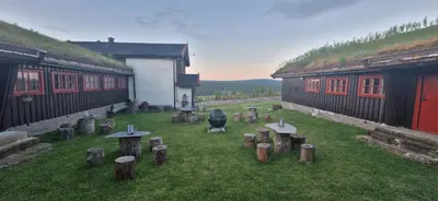 a group of wooden stumps in the grass between two buildings at Skotten Seter - Bed & Husky in Mork