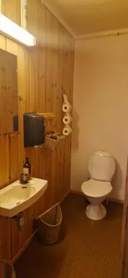 a bathroom with a toilet and a sink at Skotten Seter - Bed & Husky in Mork