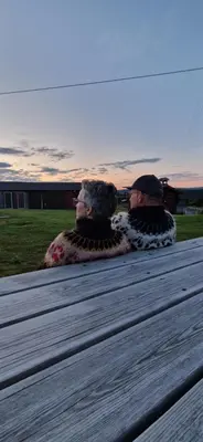 two people sitting on a bench watching the sunset at Skotten Seter - Bed & Husky in Mork
