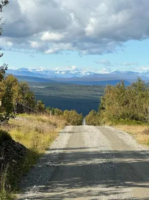 an empty road with trees and mountains in the distance at Snowcake Cottage in Sør-Fron