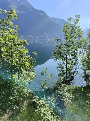 a view of a lake from a hill with trees at Holiday home in Steinkjer in Steinkjer