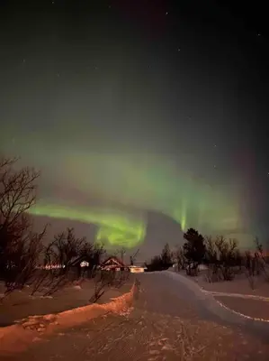 an aurora in the sky over a snowy field at Geilo Kikut - Ski-in Ski-out in Geilo
