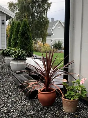 a row of potted plants on the side of a house at Koselig hus med stor og solrik hage in Lillehammer