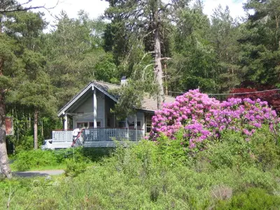 a house with pink flowers in front of it at Fjordhytte-40 im Vestland - Hordaland nahe Rosendal in Rosendal