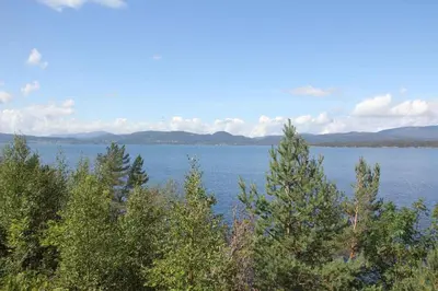 a view of a large body of water with trees at Fjordhytte-38 bei Rosendal am Hardangerfjord in Rosendal