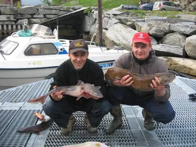 two men holding up fish on a net at Fjordhytte-16 direkt am Sognefjord in Bjordal, mit mietbaren 9,9 PS bis 60 PS Motorbooten in Bjordal