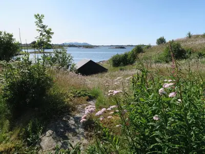 a field with flowers and a body of water at Fjordhytte-36 in Bøvågen