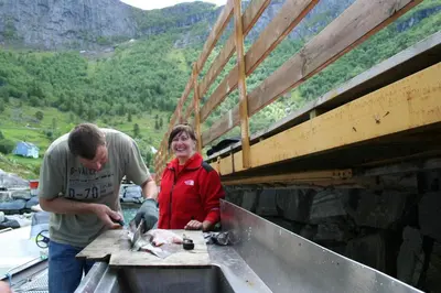 a man and a woman cutting up fish on a table at Fjordhytte-23 direkt am Sognefjord, mit mietbaren Motorbooten 9,9-60 PS in Bjordal