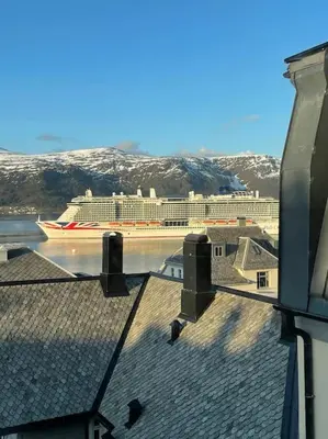 a view of a cruise ship in the water at Fjord-view apartment in Ålesund
