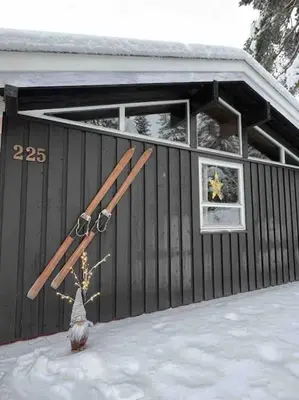 a pair of skis on the side of a cabin at Koselig fjellhytte i Trysil Ski & Turmuligheter in Trysil