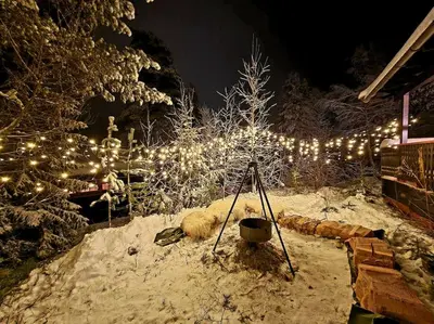 a snowy yard with a christmas tree with lights at Koselig fjellhytte i Trysil Ski & Turmuligheter in Trysil