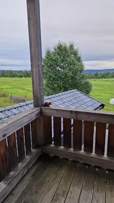 a cat sitting on the deck of a porch at Family-friendly apartment for rent at Golsfjellet in Golsfjellet