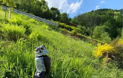 a statue of a snake in a field of grass at Cozy Home In Austefjorden With Wifi in Austefjorden