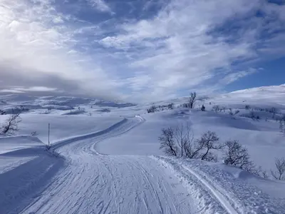 a snow covered road with tracks in the snow at Cozy cabin with a view in Kvamseter