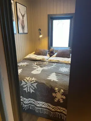 a dog laying on a bed in a bedroom at Cozy cabin with a view in Kvamseter