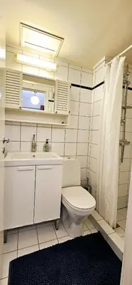 a bathroom with a toilet and a sink and a mirror at Dreggsalmenning 20 in Bergen