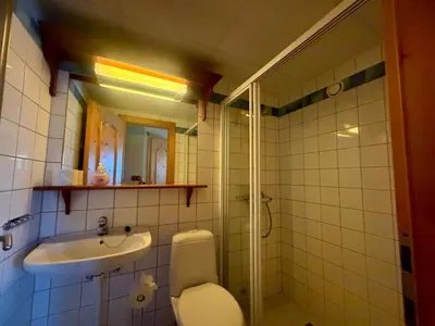 a bathroom with a toilet and a sink at Charming Ground-Floor Apartment In Beitostølen With Terrace in Beitostøl