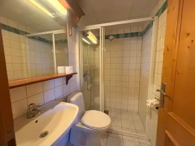 a bathroom with a shower and a toilet and a sink at Charming Ground-Floor Apartment In Beitostølen With Terrace in Beitostøl
