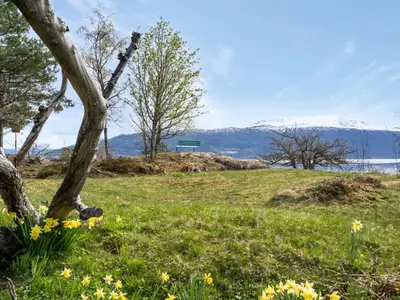 a tree in a field with flowers in the grass at Holiday Home Sandviki by Interhome in Balestrand