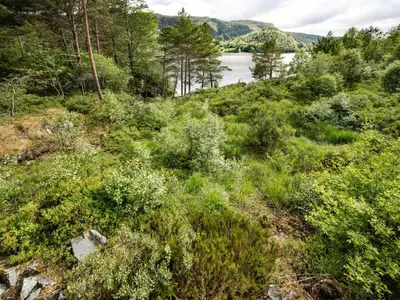a field of grass with a lake in the background at Holiday Home Solbakken by Interhome in Gjølanger