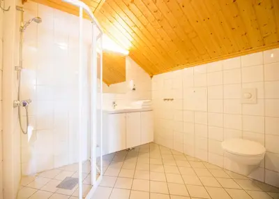 a bathroom with a shower and a toilet at Berkåk Gjestegård in Berkåk