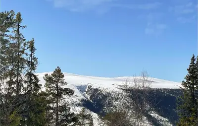 a snow covered mountain with trees in the foreground at 4 Bedroom Awesome Home In Engerdal in Nymoen