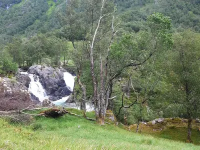 a waterfall in the middle of a mountain with trees at Oynø in Etnesjøen