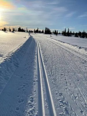 a snow covered road with tracks in the snow at Mountain appartment in Sjusjøen