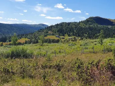 a fence in a field with a mountain in the background at Hytte på fjellet, med mange turmuligheter ! in Gol